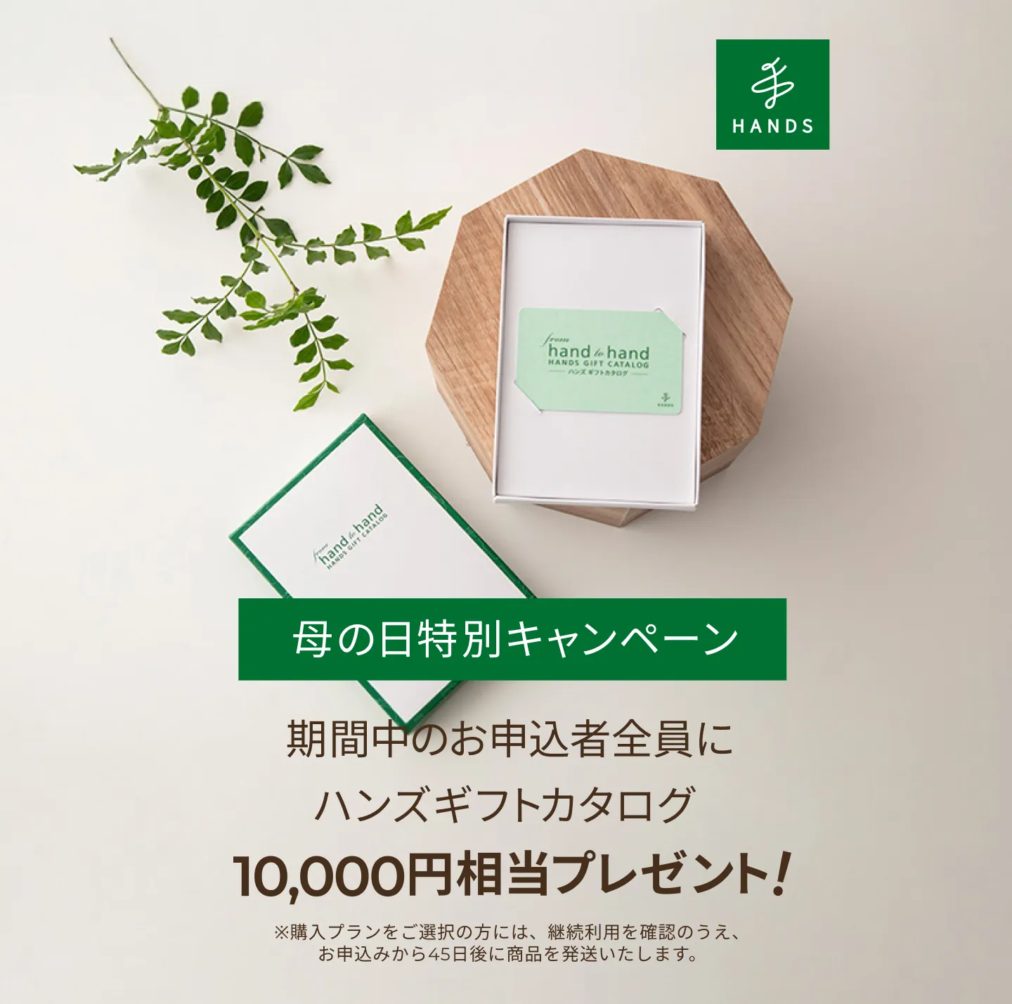 母の日特別キャンペーン